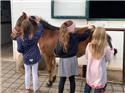 Veranstaltungsbild Reitanlage Scheele-Hof; Ferienspaß im Reitstall